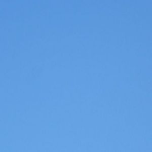 Meet your Posher, Roe