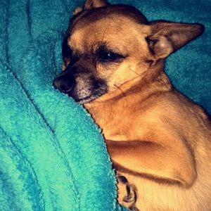 Meet your Posher, Valery