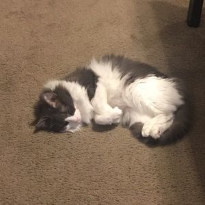 Meet your Posher, Kaira