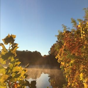 Meet your Posher, Abbi