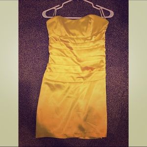 Silk tight fitting dress