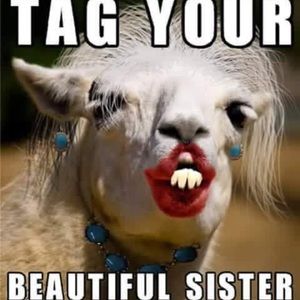 Meet your Posher, Christine