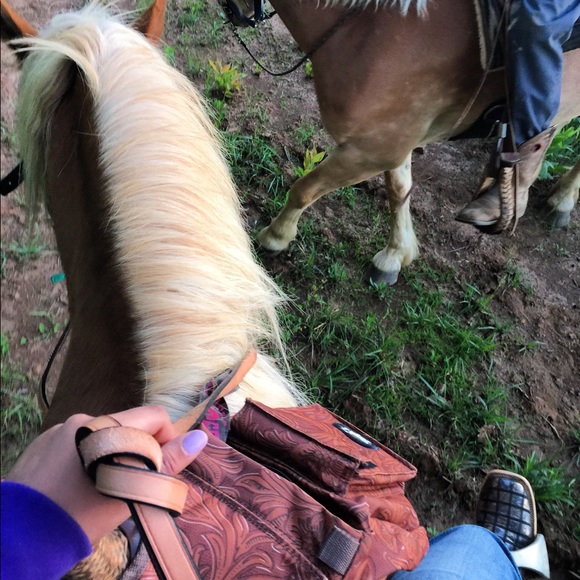 Meet your Posher, Celeste - Picture 4 of 8