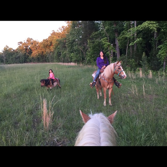 Meet your Posher, Celeste - Picture 5 of 8