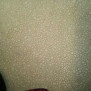 Meet your Posher, Ray