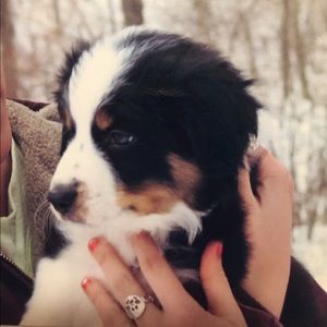 Meet your Posher, Anna