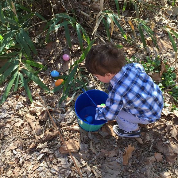 Meet your Posher, Gillian - Picture 1 of 1