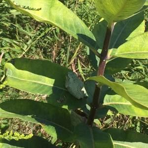 Meet your Posher, Justine