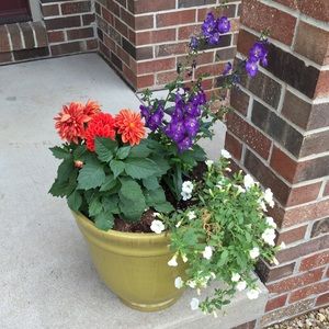 Meet your Posher, Lena