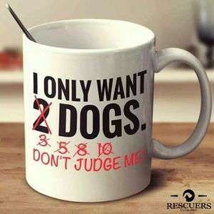 Meet your Posher, Joni