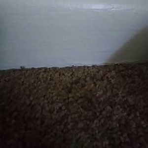 Meet your Posher, King