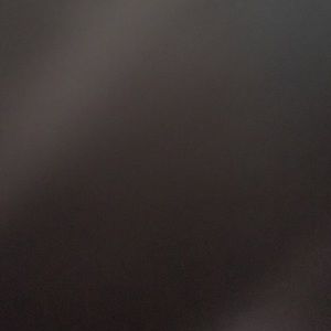 Meet your Posher, Lillie