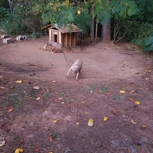 Meet your Posher, Shawn