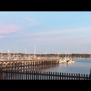 Meet your Posher, Evie