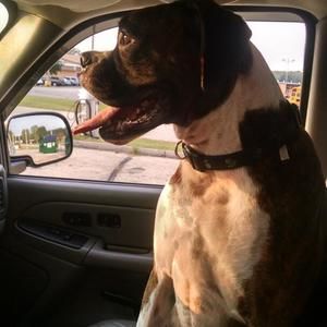 Meet your Posher, Kevin