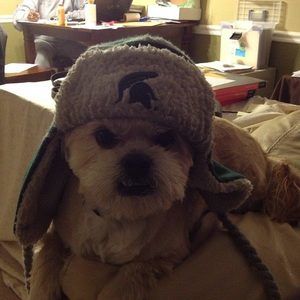 Meet your Posher, Anthony