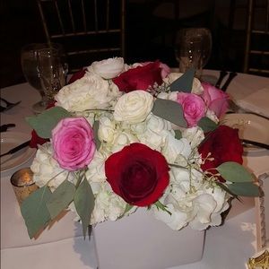 Meet your Posher, Liliana