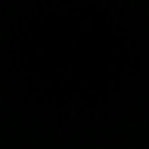 Meet your Posher, Rolando