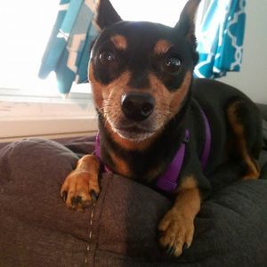 Meet your Posher, Brittany