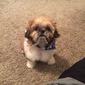 Meet your Posher, Gina