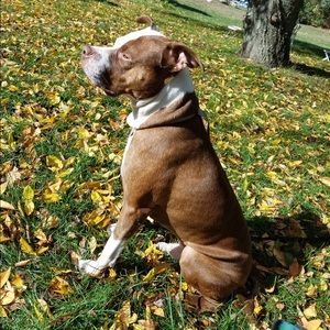 Meet your Posher, Cari