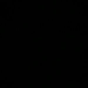 Meet your Posher, Dustin