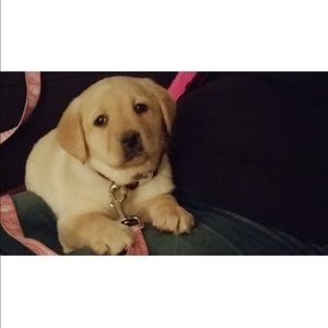 Meet your Posher, Cindy