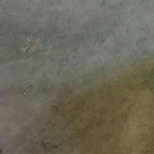 Meet your Posher, Traci