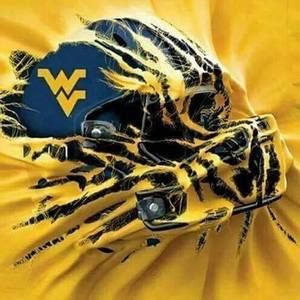 Meet your Posher, Jerry