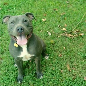 Meet your Posher, Abraham