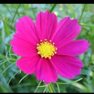 Meet your Posher, Catherine