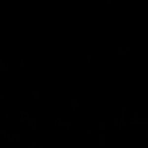 Meet your Posher, Sonia