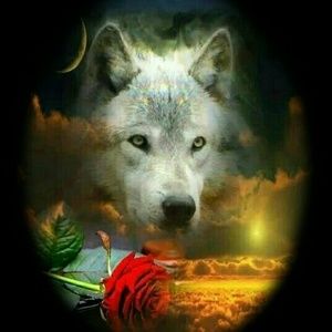 Meet your Posher, Eduardo