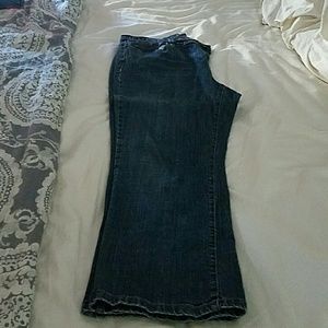 Lane Bryant jeans