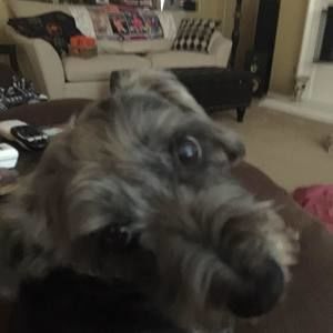 Meet your Posher, Debbie