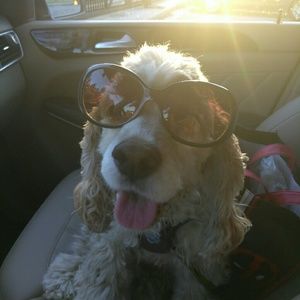 Meet your Posher, Eri