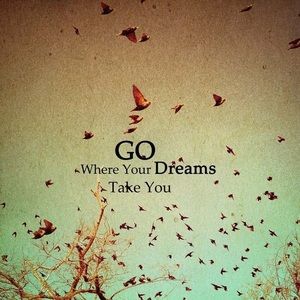 Meet your Posher, Misty