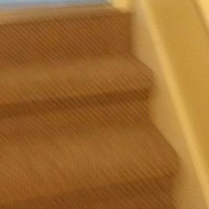 Meet your Posher, Marlon