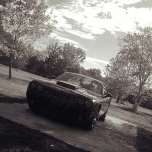 Meet your Posher, Bobby