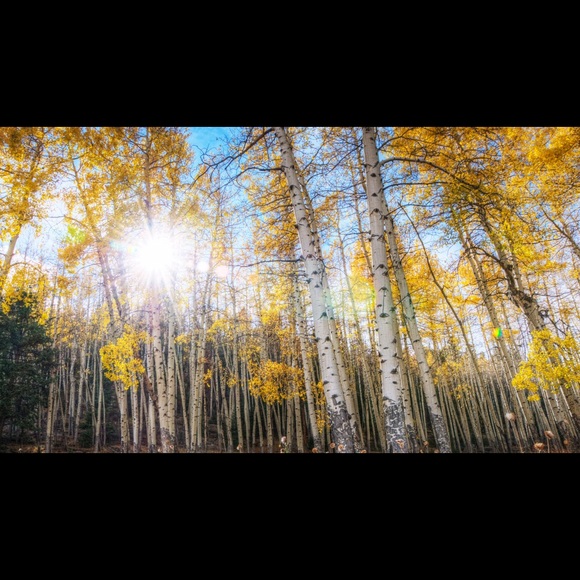 Meet your Posher, Natalie - Picture 1 of 1