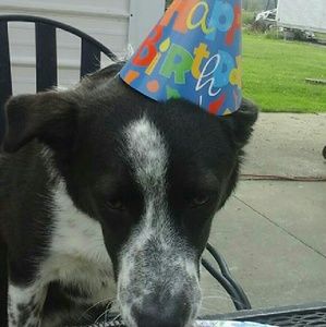 Meet your Posher, Mary