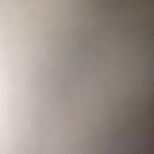 Meet your Posher, Graycie