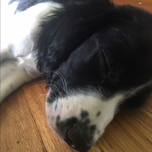 Meet your Posher, Kenzi