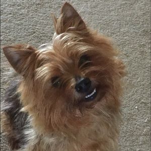 Meet your Posher, Tara