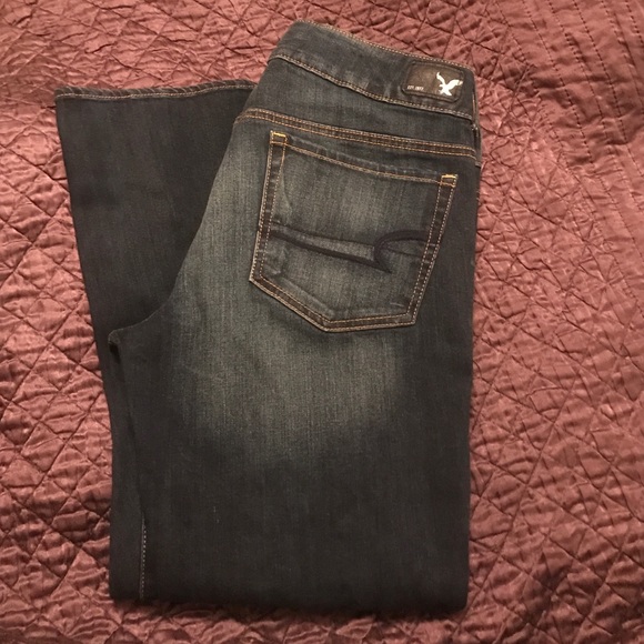 American Eagle Outfitters Artist Crop size 14