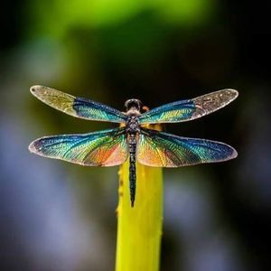 Meet your Posher, Stacie