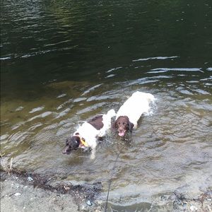 Meet your Posher, Kim