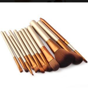 Professional Makeup Brushes set 10 pc