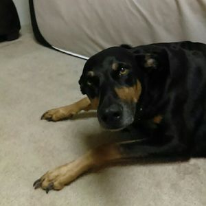 Meet your Posher, Marianne