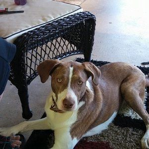 Meet your Posher, Sharon